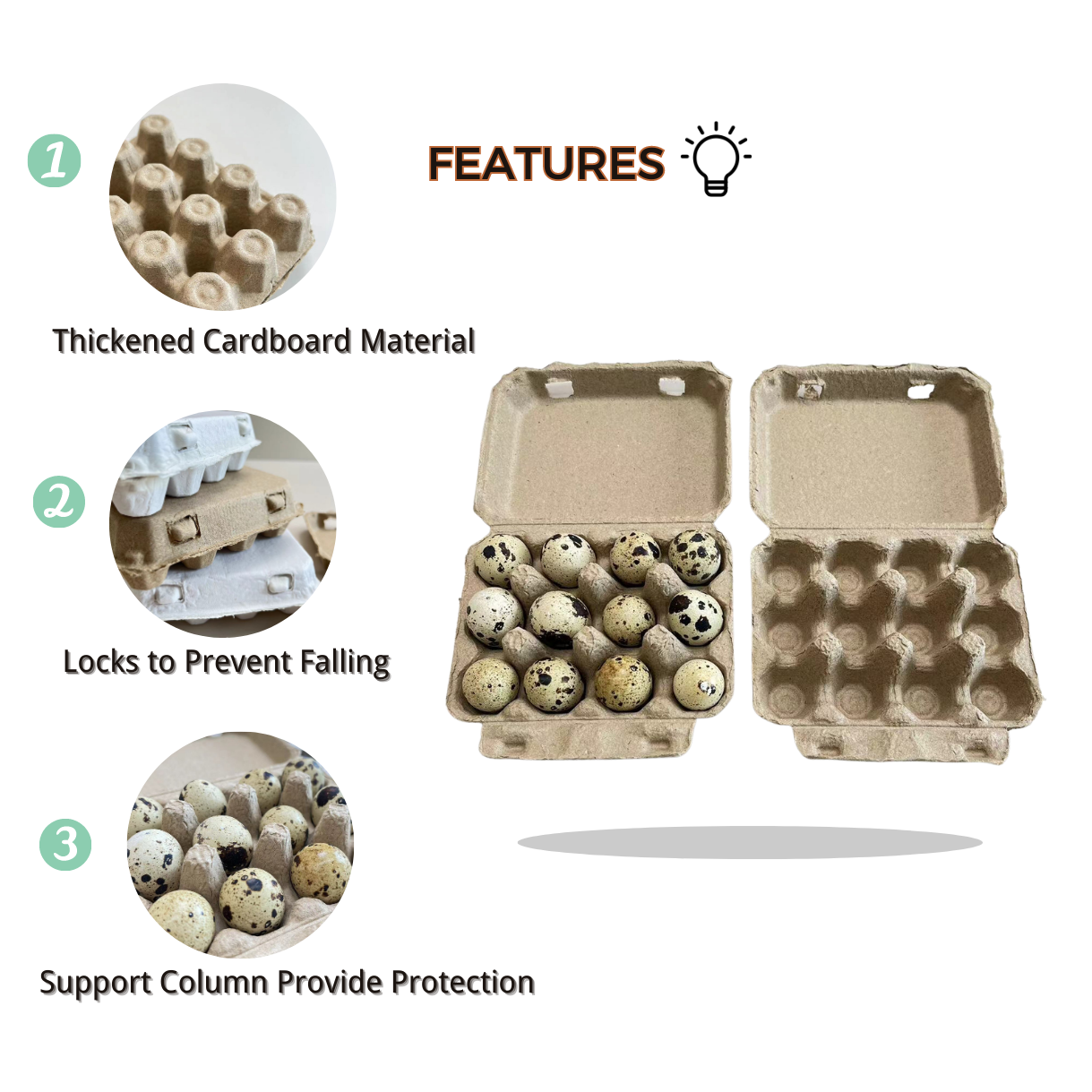 Manufacturer Supply 12 Cells Egg Cartons Compostable Quail Cardboard Holder Tray Degradable Pulp  Quail Egg Tray