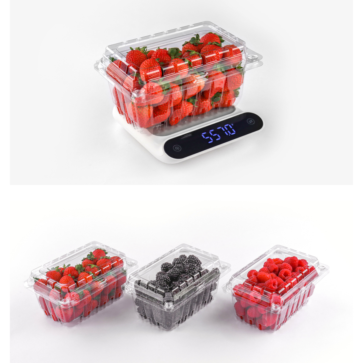 wholesale recycled eco-friendly RPET transparent blueberry Strawberries plastic fruit  Punnet