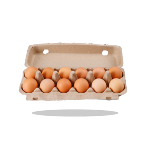 High Quality 12 Cells Egg Cartons Compostable Chicken Cardboard Holder Tray Degradable Pulp Egg Tray