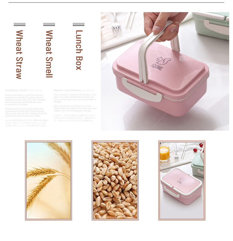 Lunch Box for Children and Kids Wheat Straw Plastic Custom Printed Bento Box Lunch Box with Combination Lock