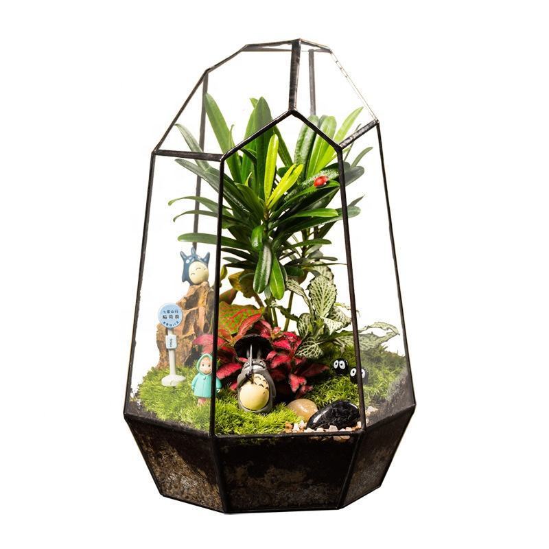 Customization Terrarium Glass Or Glass Greenhouse Terrarium With Lid Indoor Tabletop Orchid Succulent Cacti Terrarium