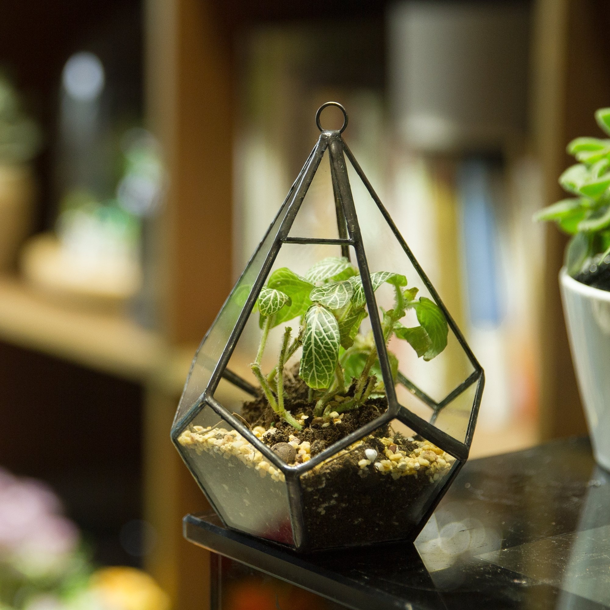 Nordic Home Decor Teardrop Terrarium With Lid Indoor Tabletop Orchid Succulent Brass Terrarium Geometric Glass Vase