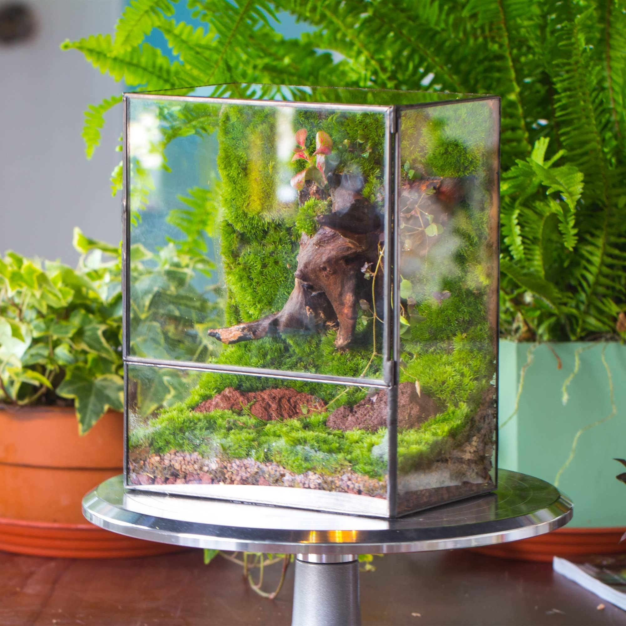 Large Terrarium House Planter Succulent Glass Greenhouse Terrarium With Lid, Indoor Tabletop Orchid Succulent Cactus Terrarium