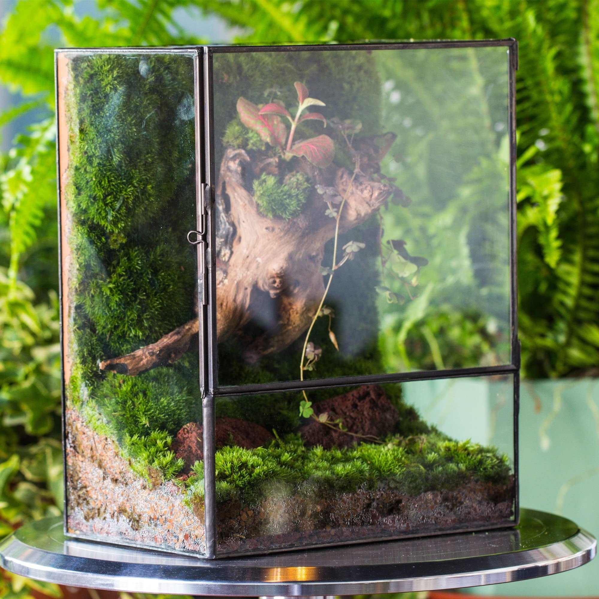 Large Terrarium House Planter Succulent Glass Greenhouse Terrarium With Lid, Indoor Tabletop Orchid Succulent Cactus Terrarium