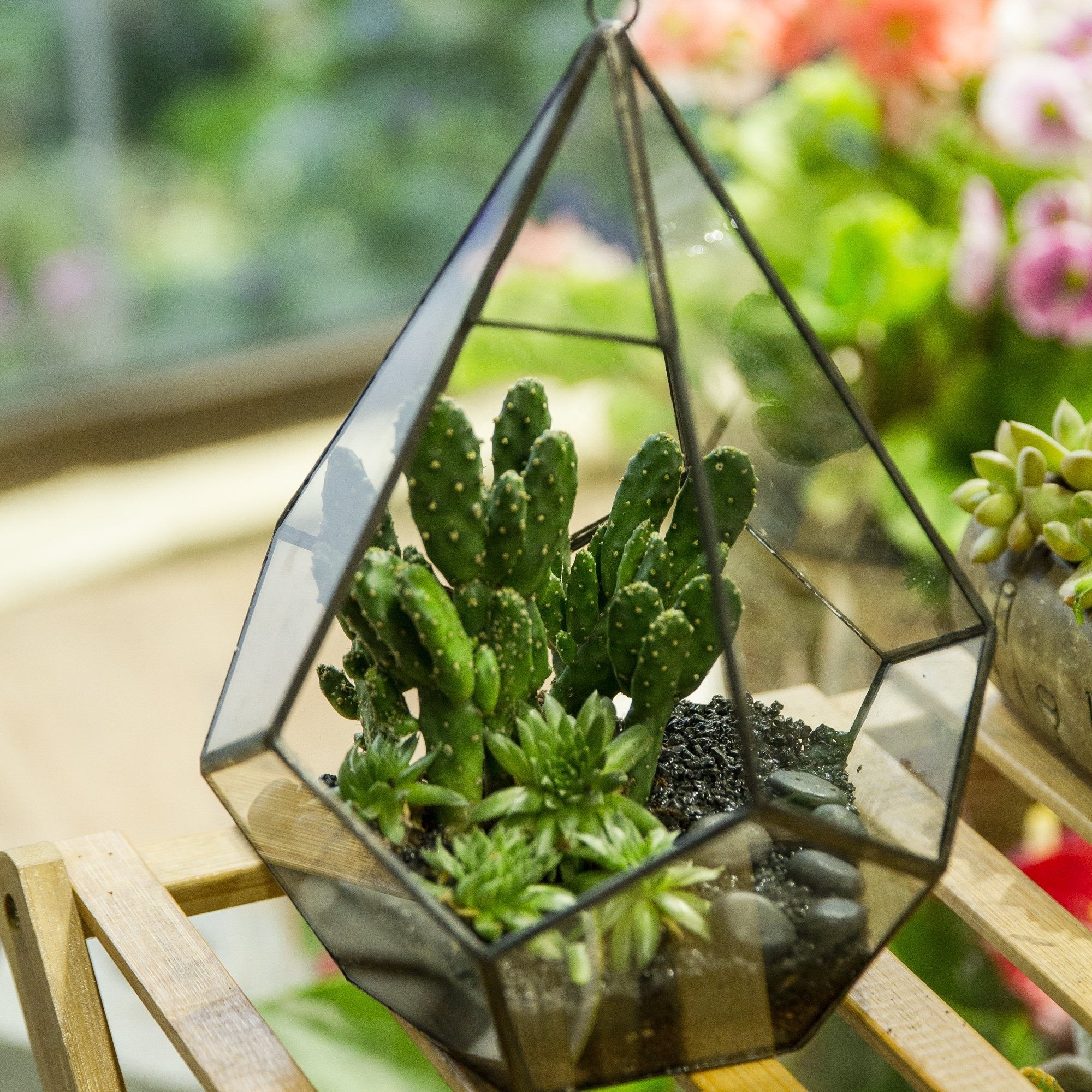 Nordic Home Decor Glass Greenhouse Terrarium With Lid Indoor Tabletop Orchid Succulent Brass Terrarium Geometric Glass Vase