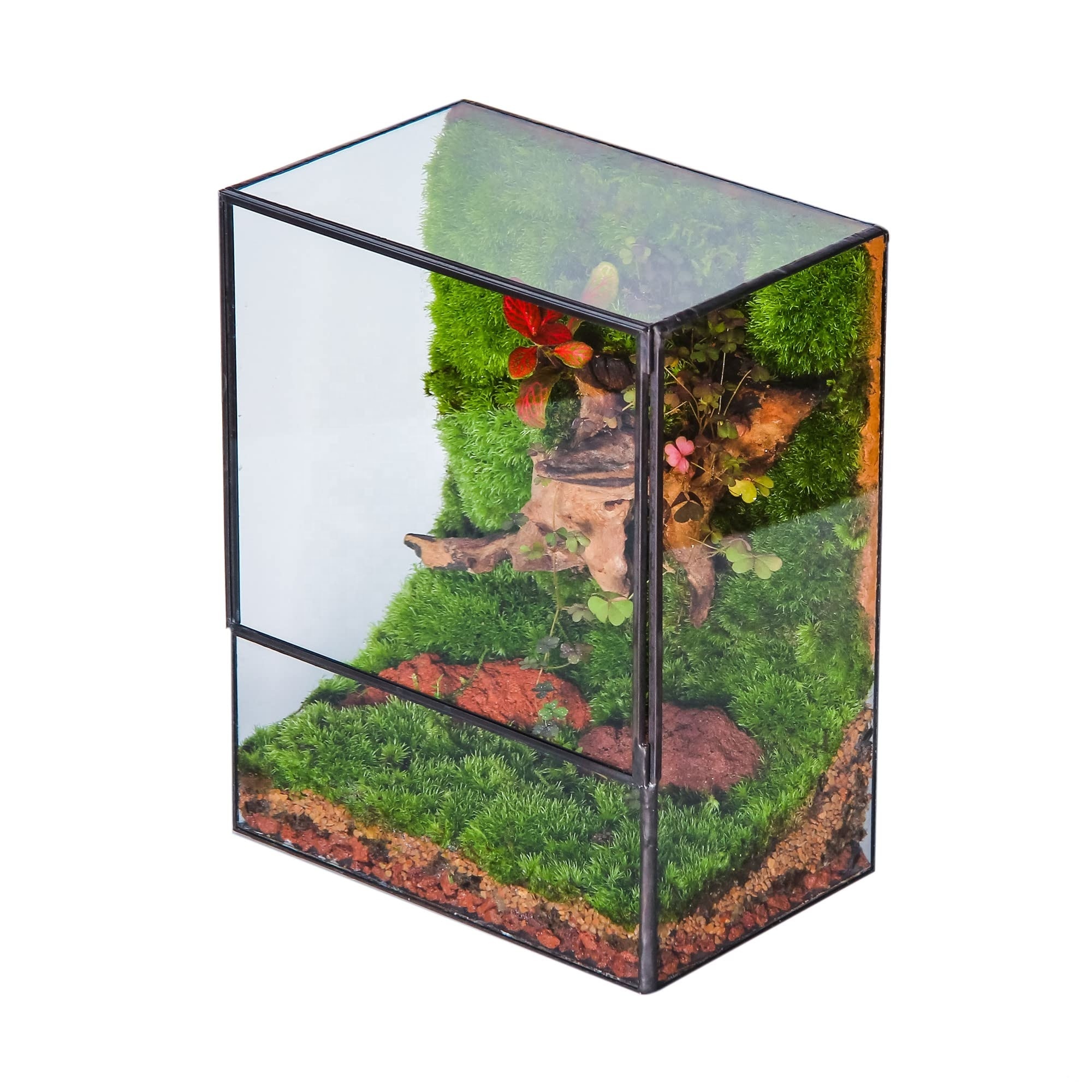 Large Terrarium House Planter Succulent Glass Greenhouse Terrarium With Lid, Indoor Tabletop Orchid Succulent Cactus Terrarium