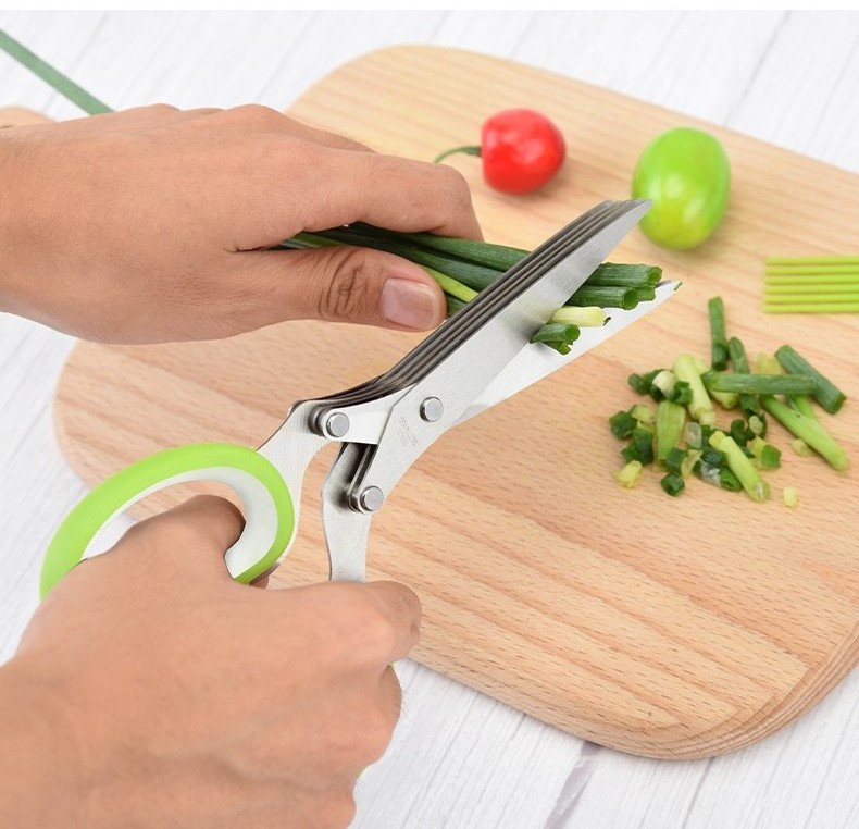 Herb Scissors with 5 Blades and Cover Kitchen Gadgets Cutter, Chopper and Mincer Shredding and Cooking Fresh Garden Herbs