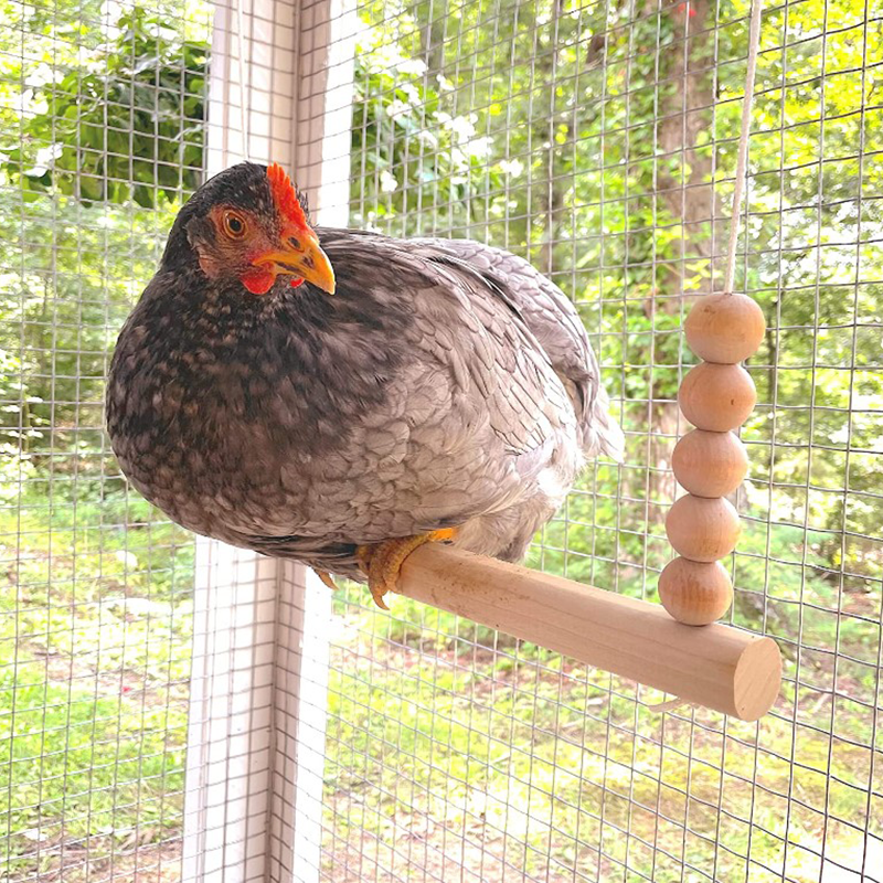 Wooden Hen Swing Chicken Stand Perch Swing Toys  Chickens Bird Parrot Used In The Coop chicken perching stand