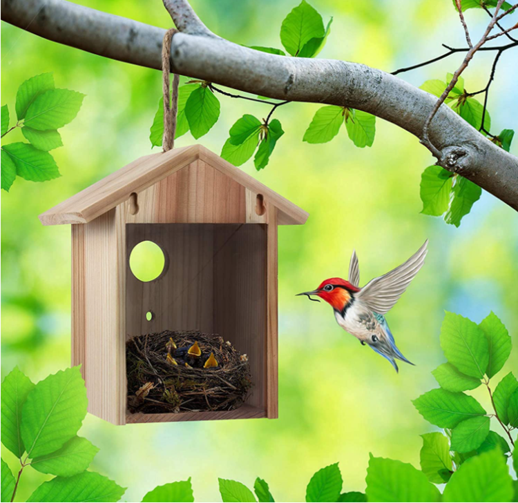 Friendly Design Natural Decor Wooden Bird House Paint Gazebo Feeder Customized Wood Bird Houses For Sale