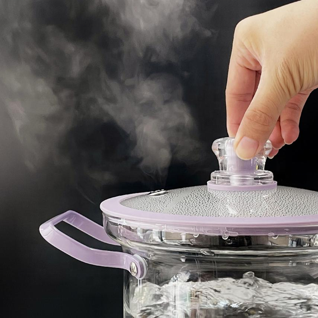 Anti Hot Transparent Healthy and High Quality 22cm Borosilicate Glass Cooking Pot