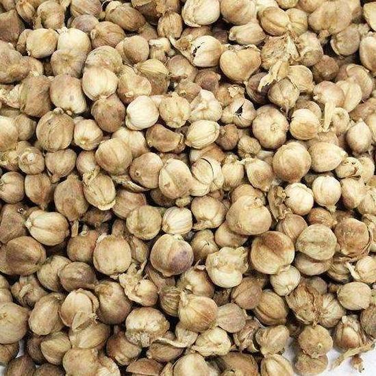 Organic Dried White Cardamom Single Spices & Herbs Wholesale Price Nutmeg Spices