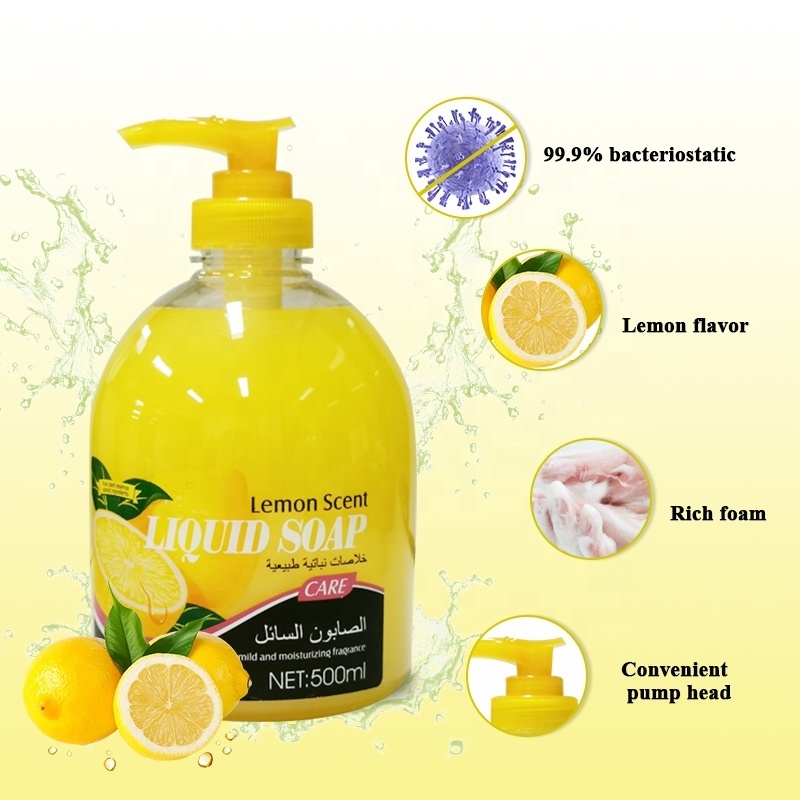 OEM Private label Natural Moisturizing Bubble Hand Wash Liquid Soap