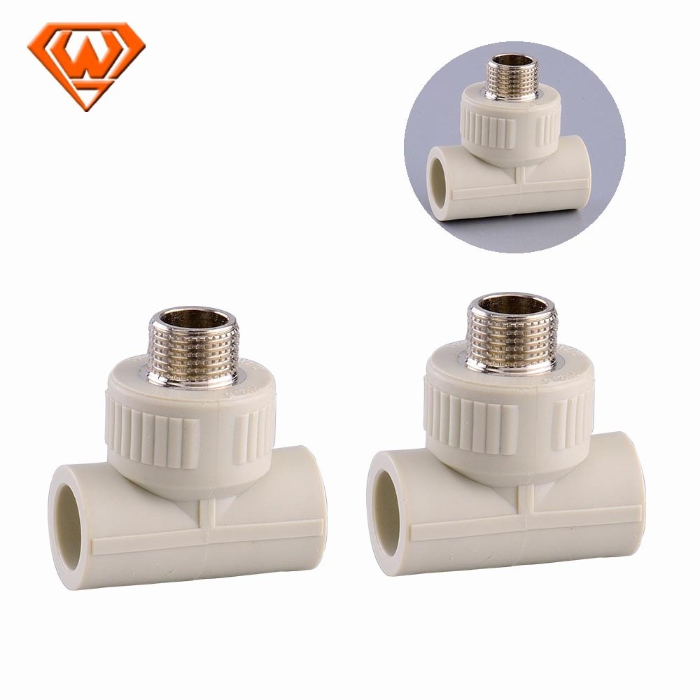 House Plumbing Fittings Plastic material ppr pipe fitting male/female threaded union