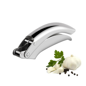 Easy Clean Rust-Proof Garlic Press Grinder at Reasonable Price Stainless Steel Garlic Crush Ginger Grater Kitchen gadgets