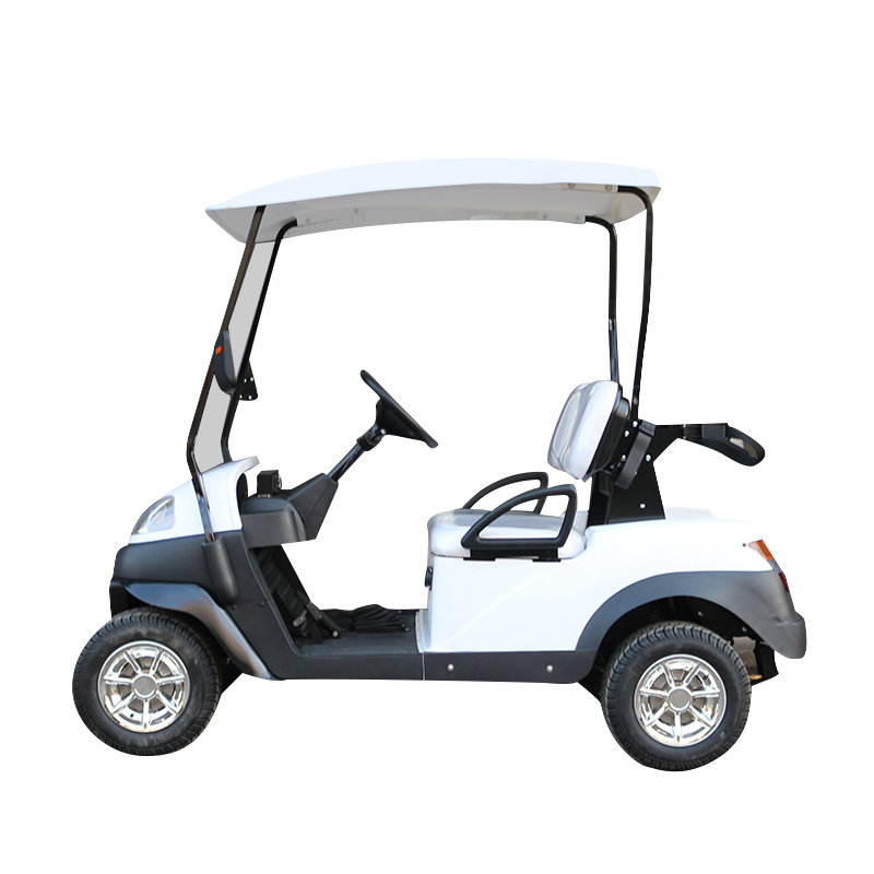 Club Golf Cart Lifted Passenger Golf Cart AC 48V Golf Cart with Seats Outdoor Electric CE White Zhejiang Smart Charger Curtis