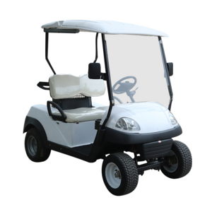 Club Golf Cart Lifted Passenger Golf Cart AC 48V Golf Cart with Seats Outdoor Electric CE White Zhejiang Smart Charger Curtis