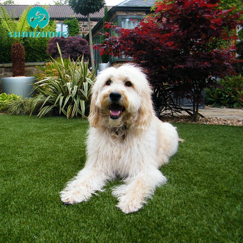 pet potty artificial grass for indoor flooring carpet