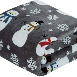 Oem Wholesales China Supplier High Quality 100% Polyester Sherpa Flannel Fleece Throw Blanket for Sofa