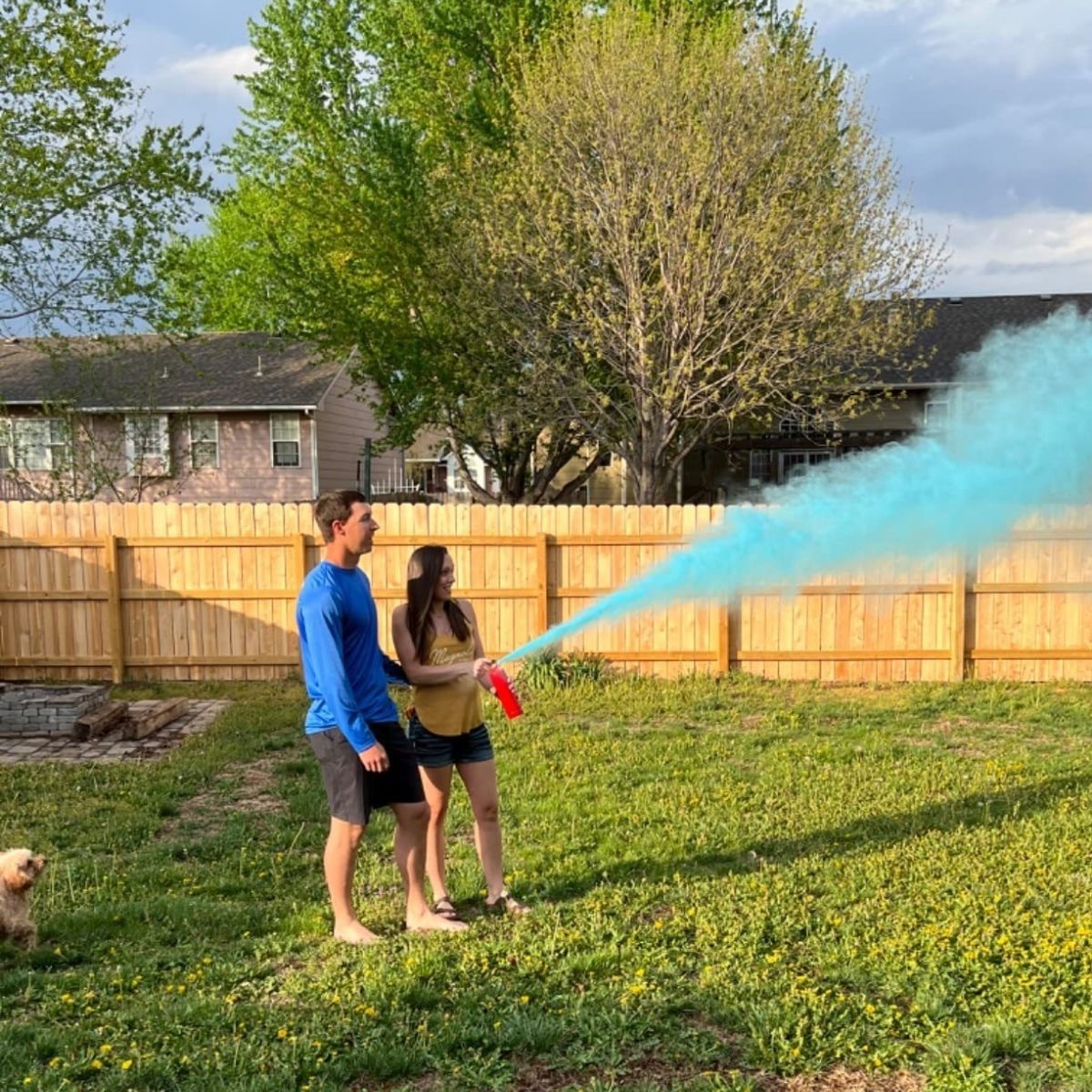 Steel Bottle Boy or Girl Gender Reveal  Blaster Color Spray