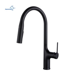 New Hot Selling Black Single Handle Pull Down Kitchen Faucet for RV / Home kitchen sink