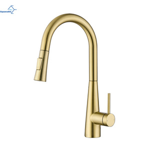 Modern Hot Sell Gold Lead Free SUS Single Handle Pull Down Kitchen Faucet