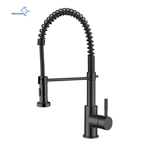 Aquacubic UPC CUPC Brass Body Pull Down Sprayer Water Sink Kitchen Faucet