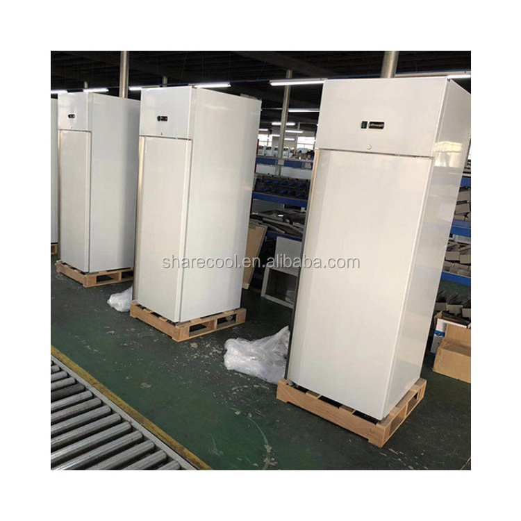 Restaurant Commercial kitchen Freezer/Industrial Deep Freezers/ Deep Freezers For Sale