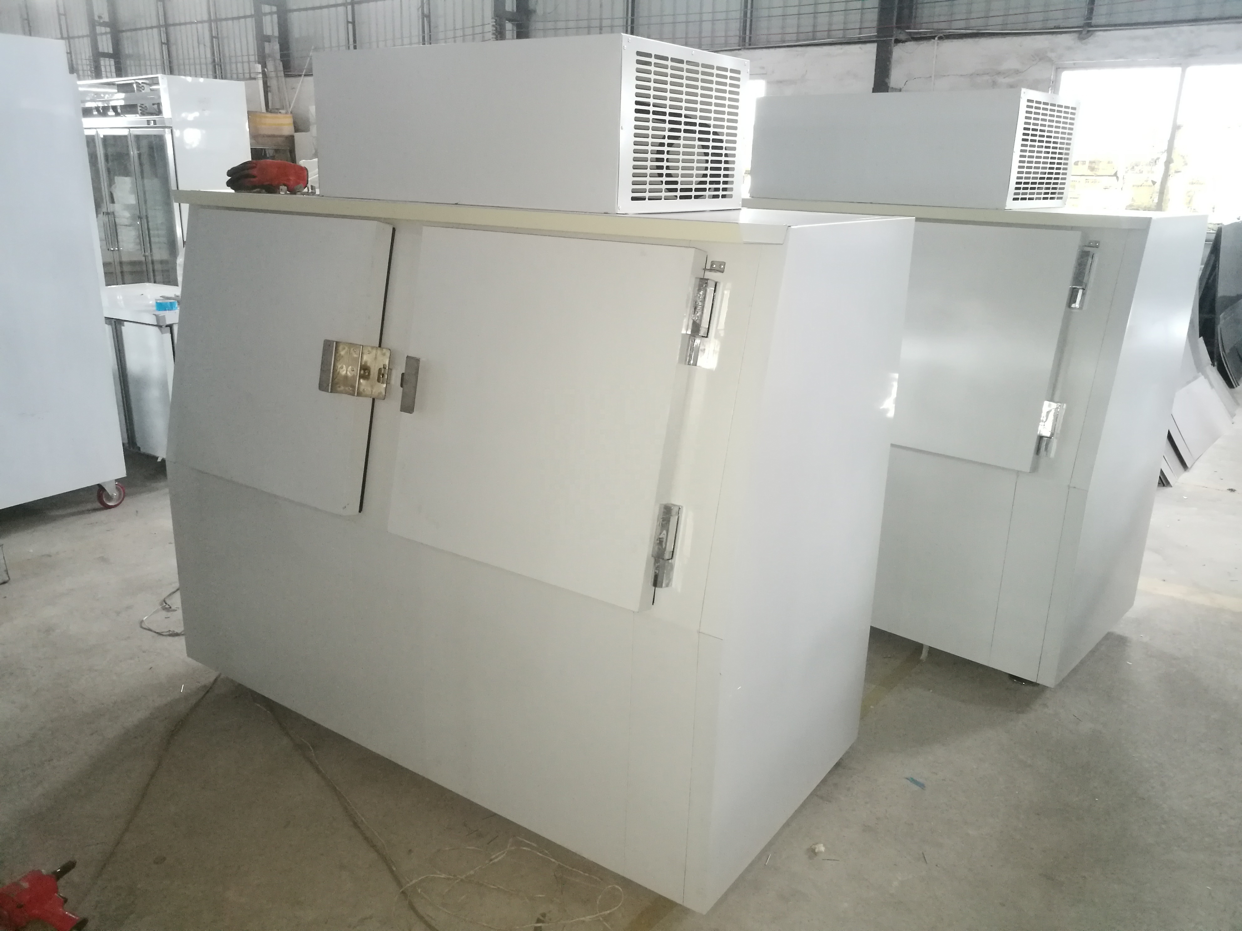 Cold Wall Ice Merchandiser with Slant Door