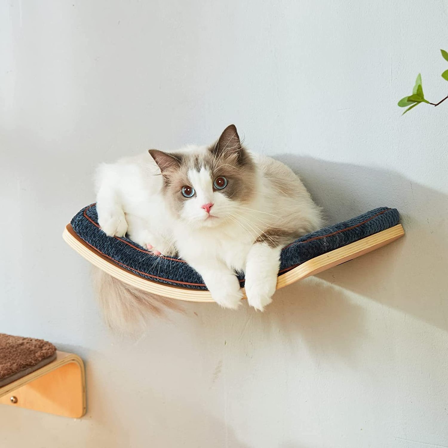 Home wooden cat rack wall - mounted curved cat hammock