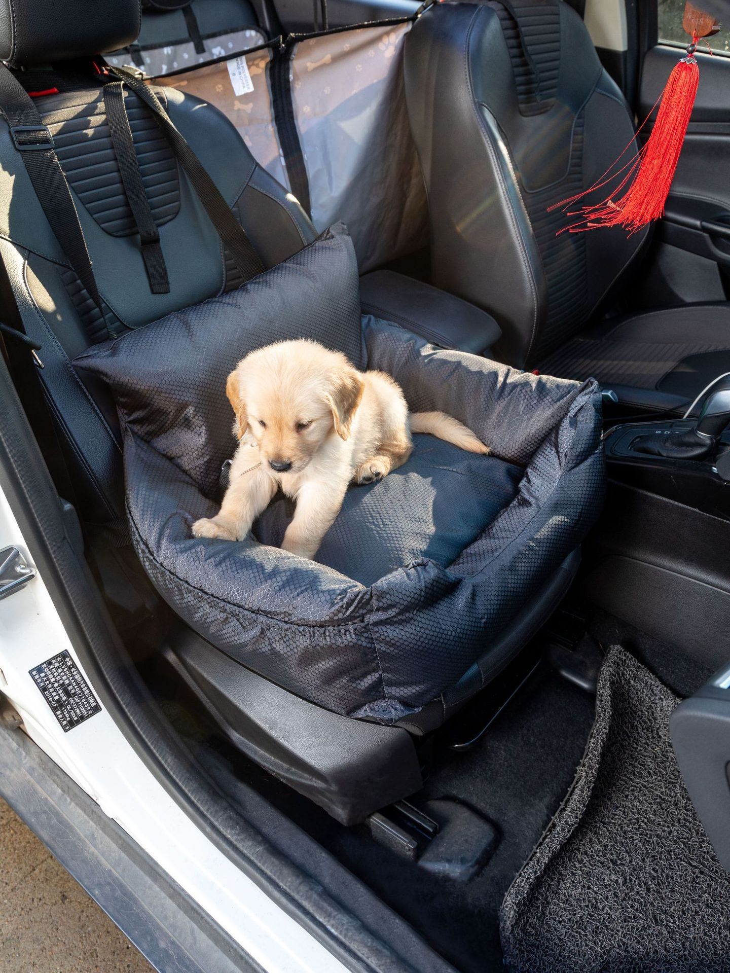 Pet seat Car cat kennel Dog kennel pet supplies cushion single seat car kennel