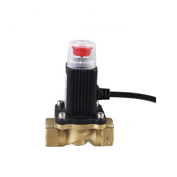 Liquefied Petroleum Gas and Natural Gas Emergency Cut-off Solenoid Valve Home Safety Alarm System Solenoid valve DC12