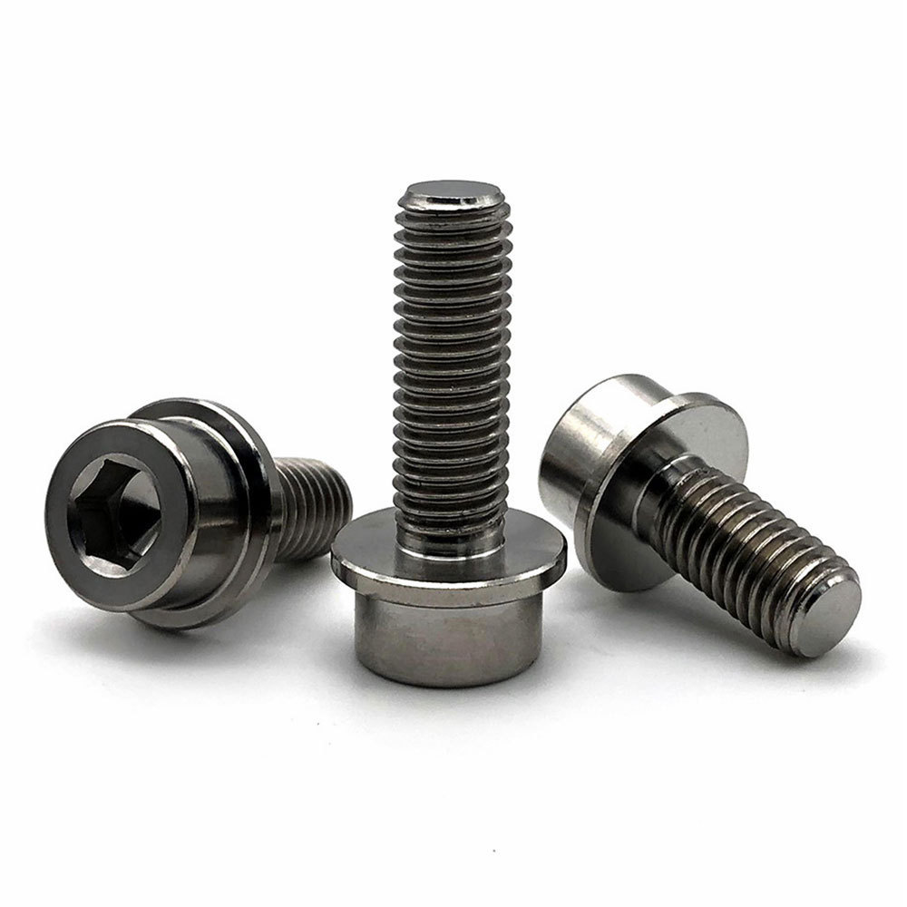 Hot Selling Titanium Alloy Bolts And Screws Samples With All Styles