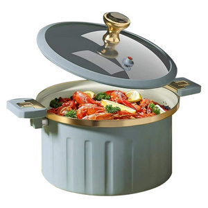 New Type Micro Pressure Cooker Household Large Capacity Non-stick Surface Multi-function Soup Pot Pressure Cooking