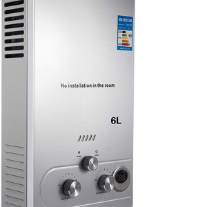 Delicate 16L appearance gas fired water heater boiler tankless water heater natural gas 110  220 volts