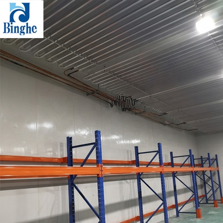 single phase monoblock fruit and vegetable modular panelling prefabricated cold room