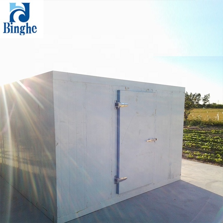 commercial refrigeration low temperature cold storage room for fish