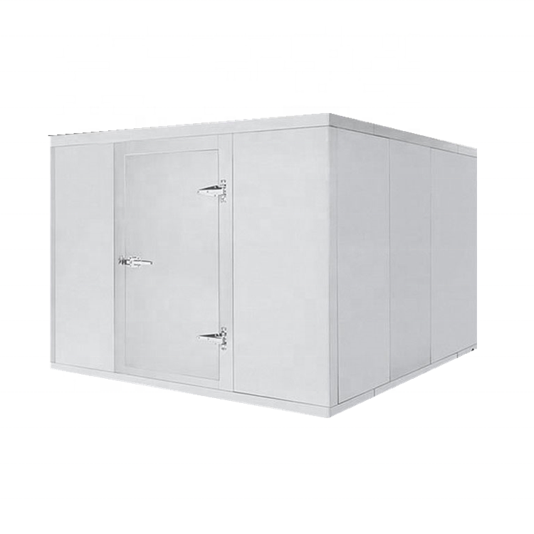 commercial refrigeration good price walk in freezer seafood vegetables fruits chiller room cold storage