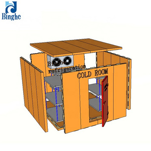 commercial refrigeration low temperature cold storage room for fish