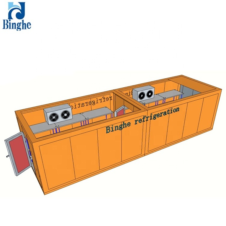 banana ripening room with pu panels, refrigeration cold storage room