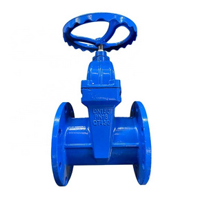 PN16 Z45X Manual Gate Valve Flange Type Soft Connection Rising Stem Slide Cast Iron Sluice Gate Valve