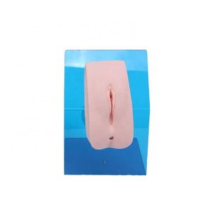 Medical Nursing Training Model Female Urethral Catheterization Simulator