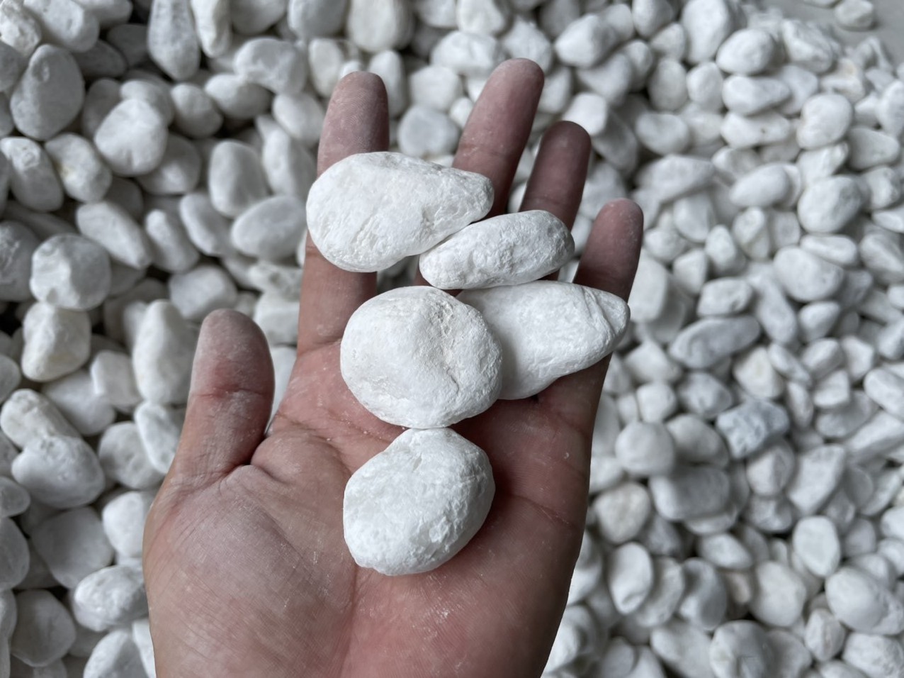 Whole Sale Best Price White Pebbles Stone Decoration Landscaping Super White Salt White Gravel Marble Stone Vietnam Origin Stone