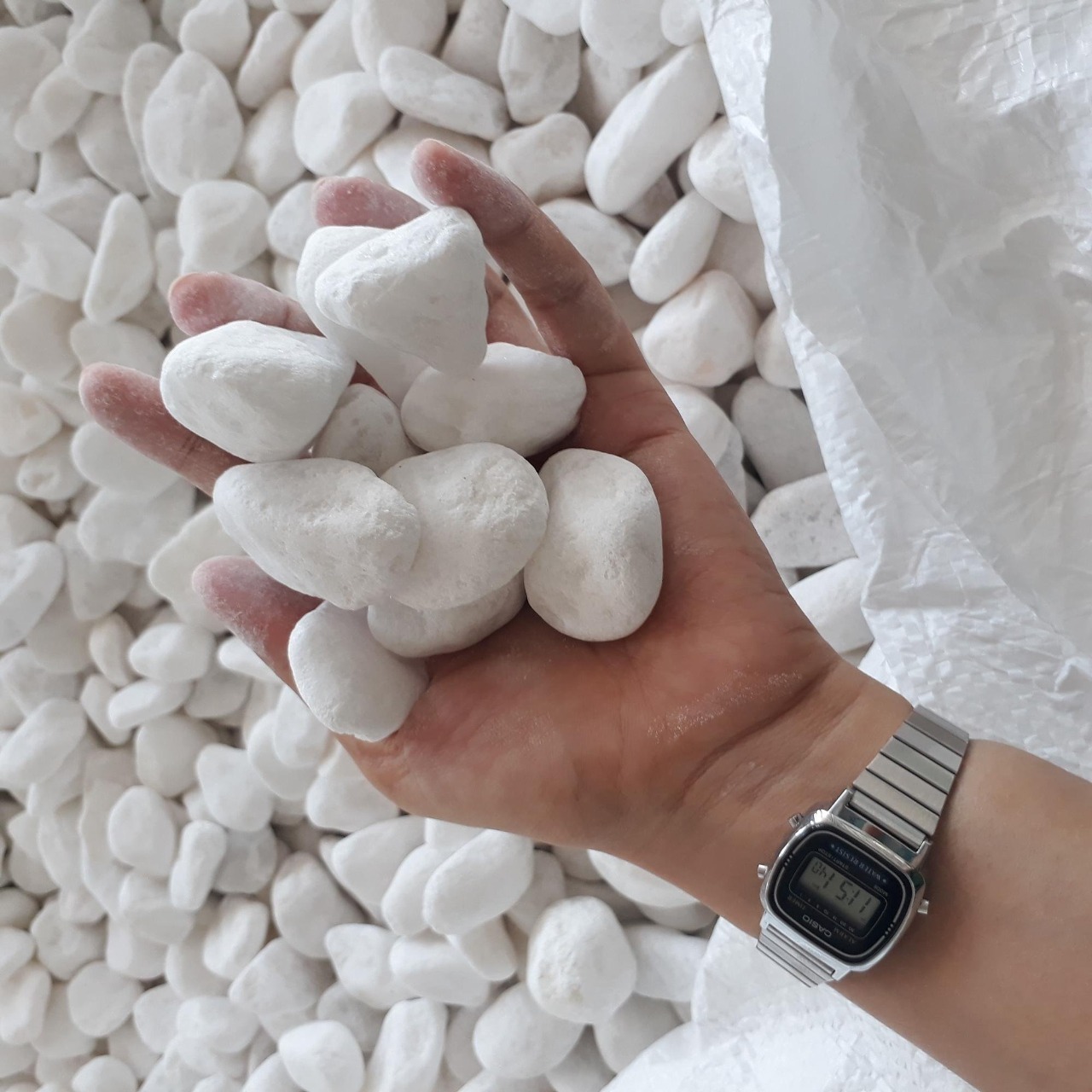 Natural Pebble Stone for Construction, Landscaping and Indoor & Outdoor Decoration, Fountain