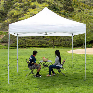 Outdoor Shelter 3x3 20x20 10 X 10 Frame Marquee Trade Show Tent Carport Canopy Gazebo Tent