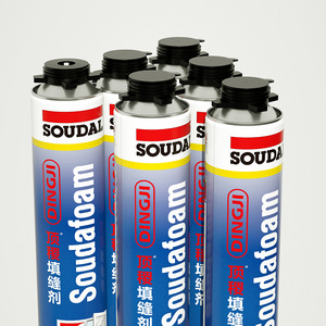 Hot Sale 750Ml Expanding Pu Foam Component Spray Polyurethane Foam Insulation Fireproof Strong Expansion Soudal Pu Foam