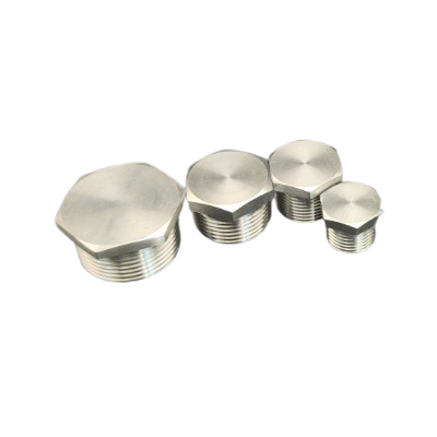 DONGLIU Stainless Steel High Pressure Forged Pipe Fittings NPT/BSPT Male Thread Hex Plugs