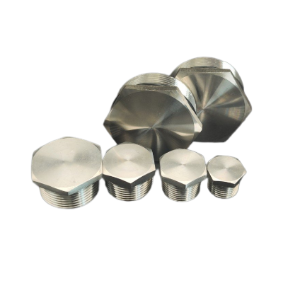 DONGLIU Stainless Steel High Pressure Forged Pipe Fittings NPT/BSPT Male Thread Hex Plugs