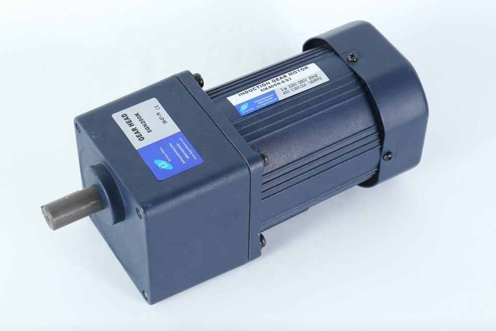 Small Size 220v high torque low rpm ac gear electric motor