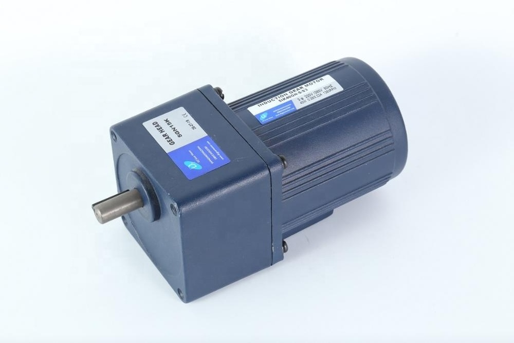 Small Size 220v high torque low rpm ac gear electric motor