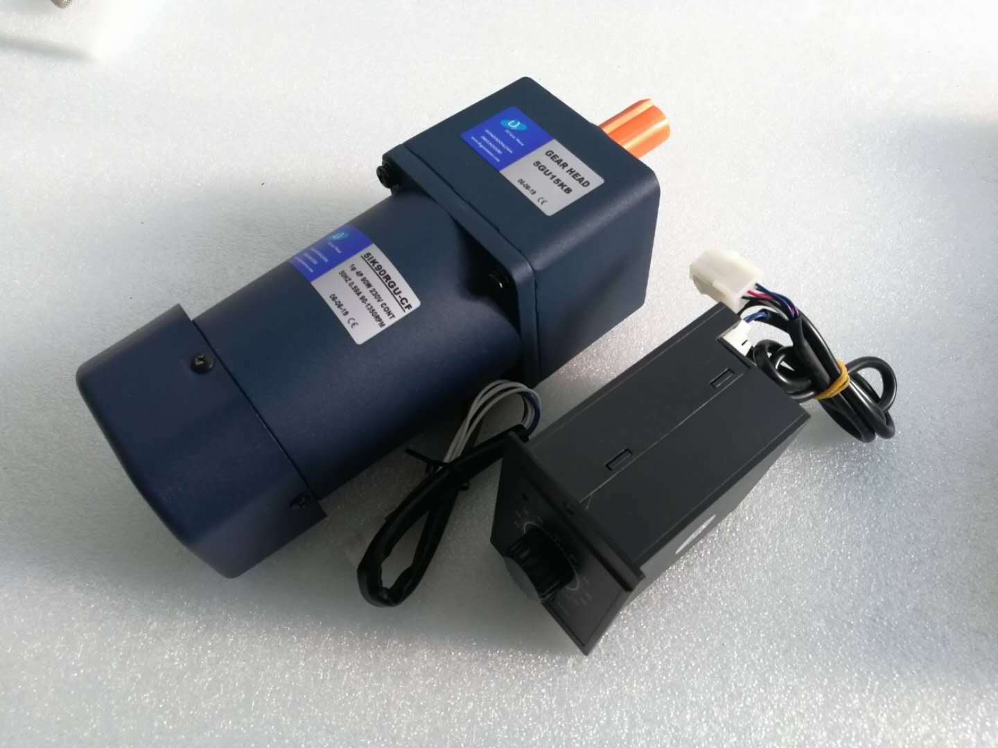 6~250W 220V 110V AC Gear Motor with Speed Controller